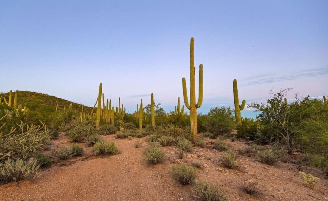 Land in Marana, Arizona, United States 1 - 19049194