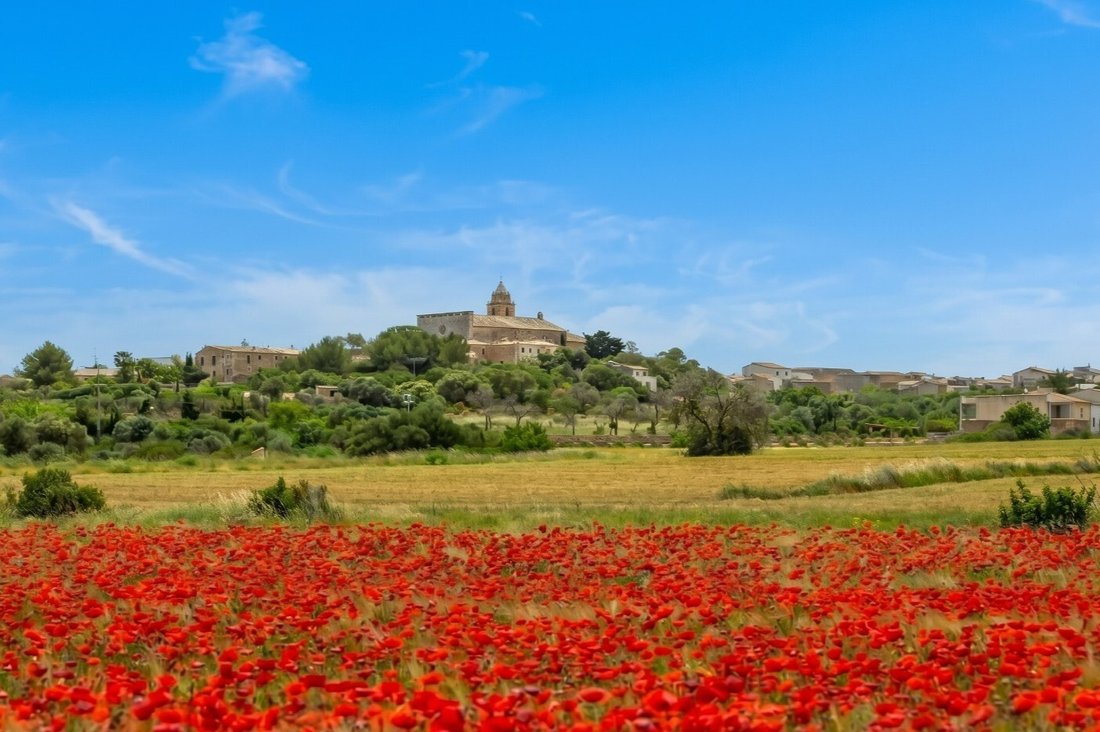 Country House in Maria de la Salut, Balearic Islands, Spain 2 - 13308050