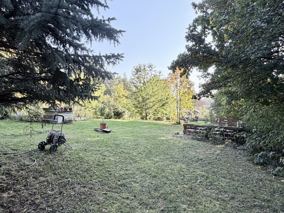 Vienna, Wien, Austria 2 - 19007958