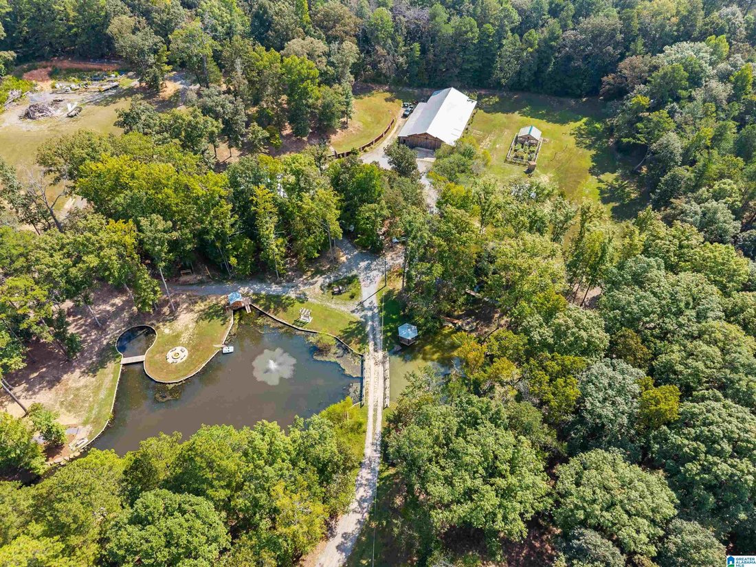 Casa en Pell City, Alabama, Estados Unidos 4 - 19050228