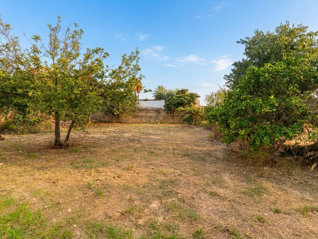 Land in Calvia, Balearic Islands, Spain 4 - 19049561