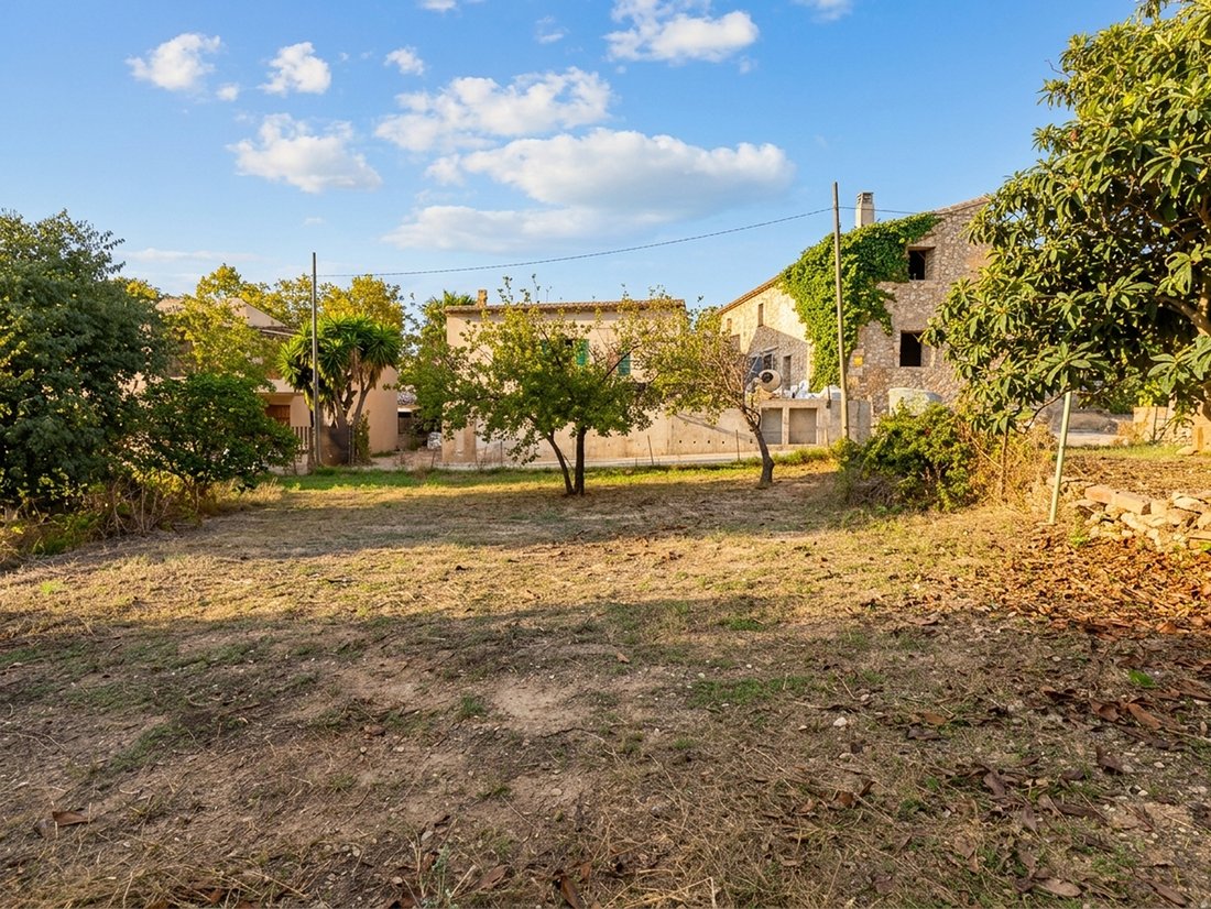 Land in Calvia, Balearic Islands, Spain 5 - 19049561