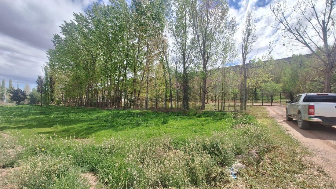 Terrain à Añelo, Neuquén, Argentine 3 - 19050562