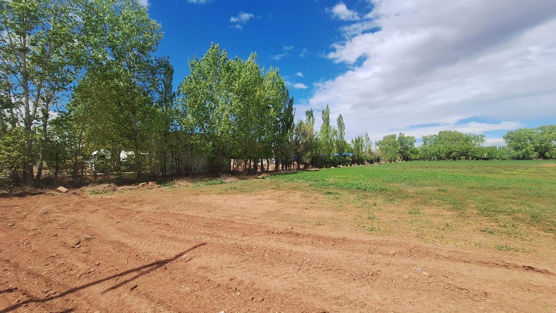 Terreno en Añelo, Neuquén, Argentina 3 - 19050563