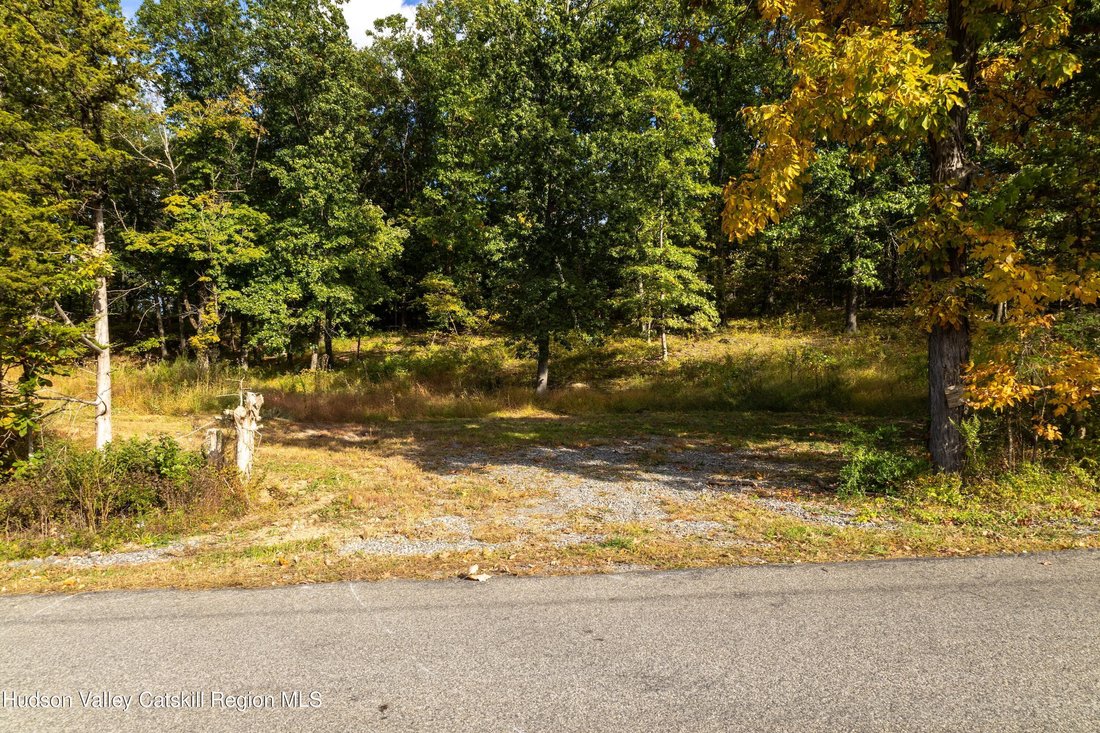 Terrain à Livingston, État de New York, États-Unis 3 - 19050567