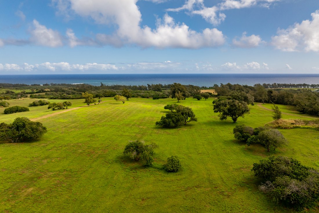 Terreno a Waimea, Hawaii, Stati Uniti 2 - 19050580