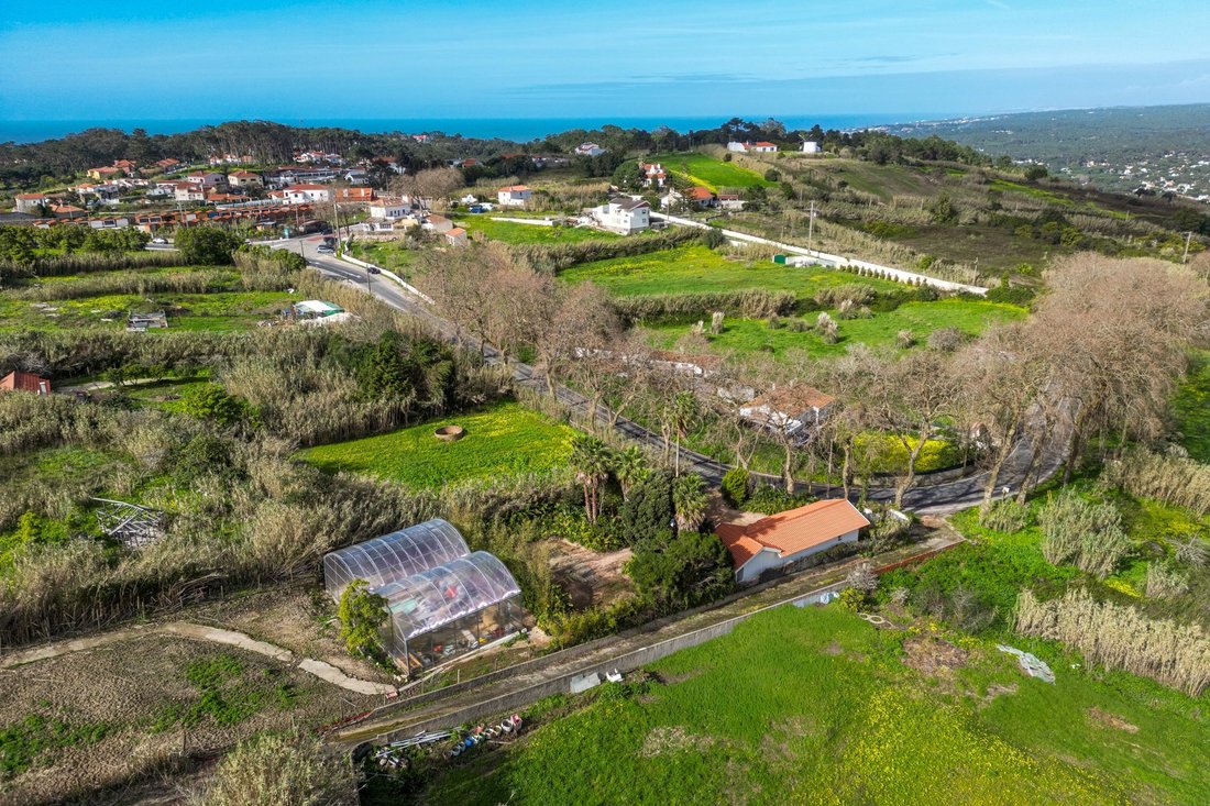 Land in Sintra, Lisbon, Portugal 3 - 19050602