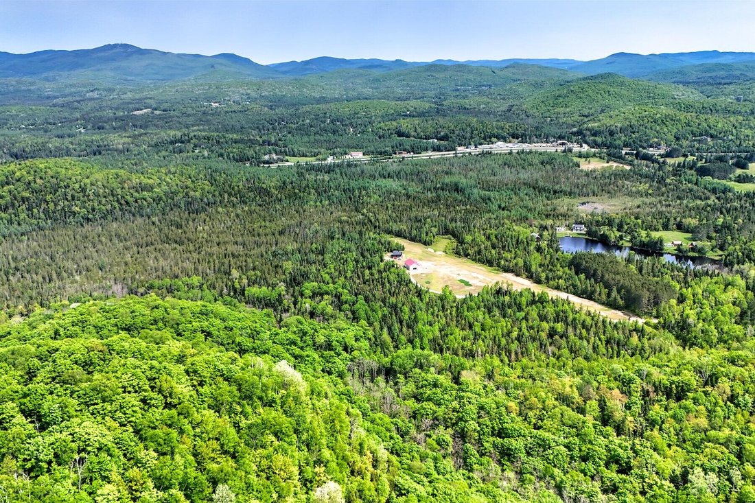 Terreno en Saint-Faustin-Lac-Carré, Quebec, Canadá 3 - 15889729
