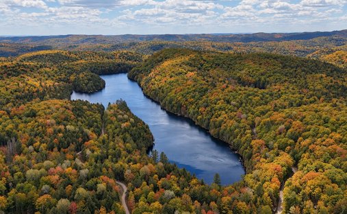Terreno a Mulgrave-et-Derry, Québec, Canada 1
