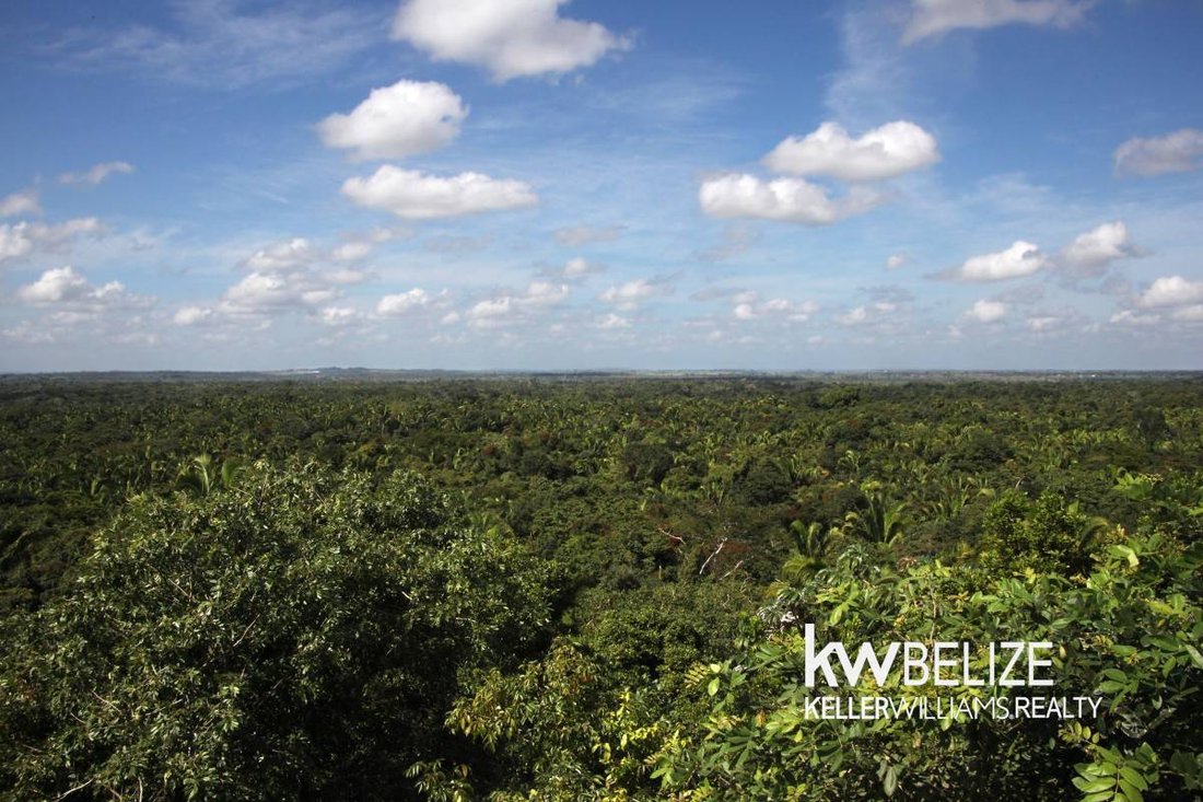 Land in Bermudian Landing, Belize District, Belize 4 - 19052581