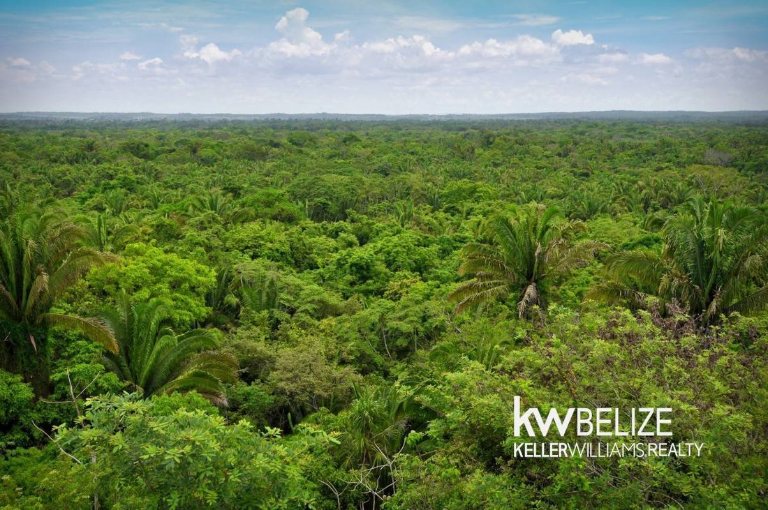 Land in Bermudian Landing, Belize District, Belize 3 - 19052581