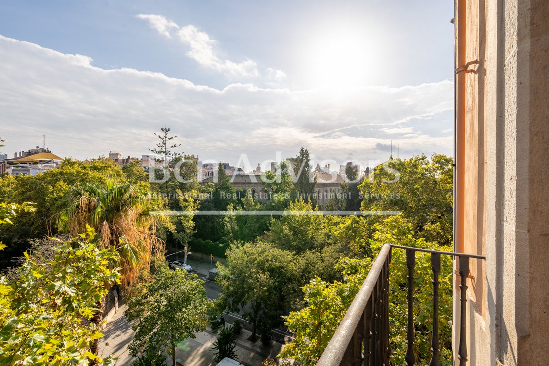 Apartment in Eixample, Barcelona, Spain 4 - 19055292