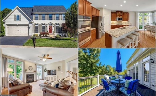 House in Aldie, Virginia, United States 1