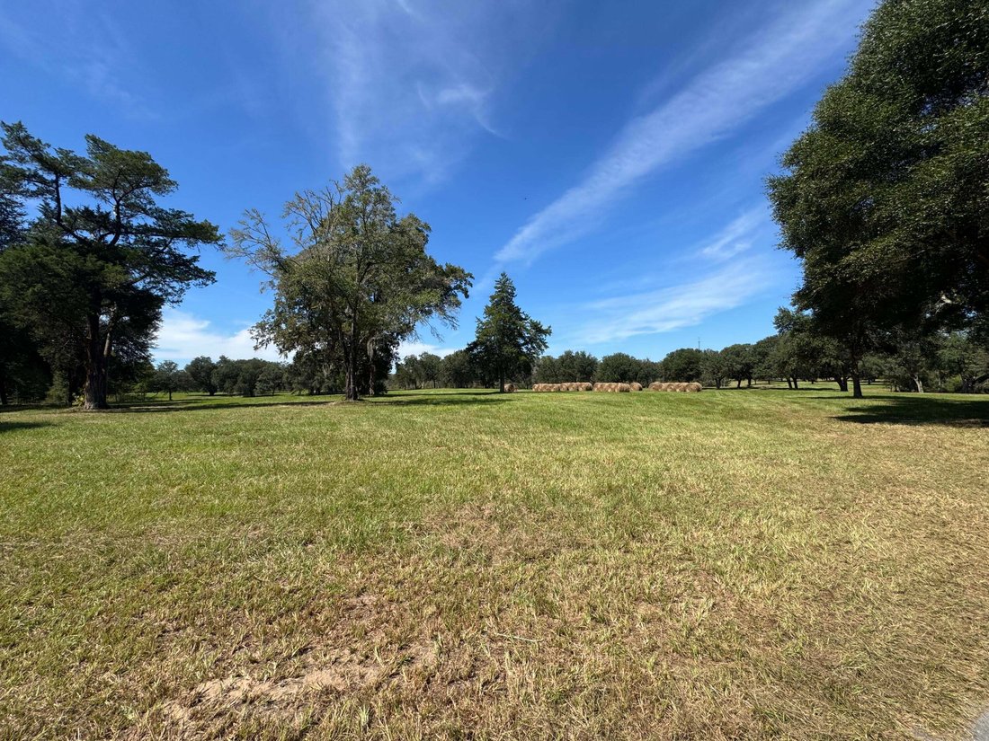 Land in Bruce, Florida, United States 1 - 19055383
