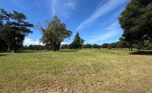 Terrain à Bruce, Floride, États-Unis 1