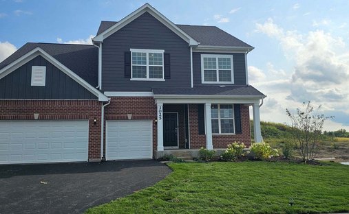 Maison à New Lenox, Illinois, États-Unis 1