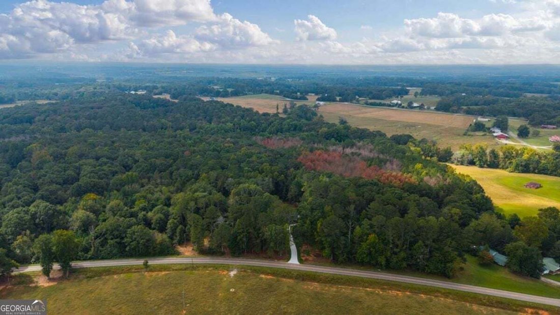 House in Bowdon, Georgia, United States 4 - 19054327