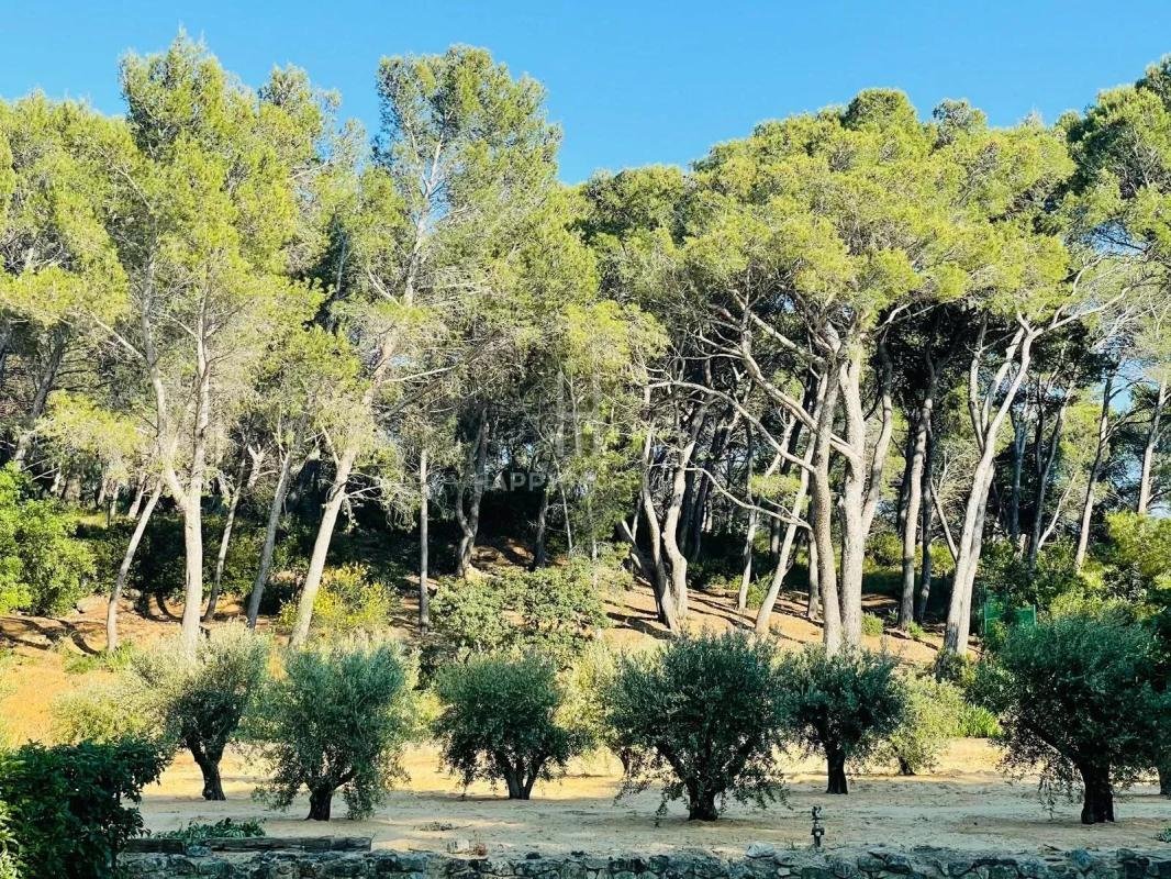 Casa a Maussane-les-Alpilles, Provenza-Alpi-Costa Azzurra, Francia 5 - 19052015