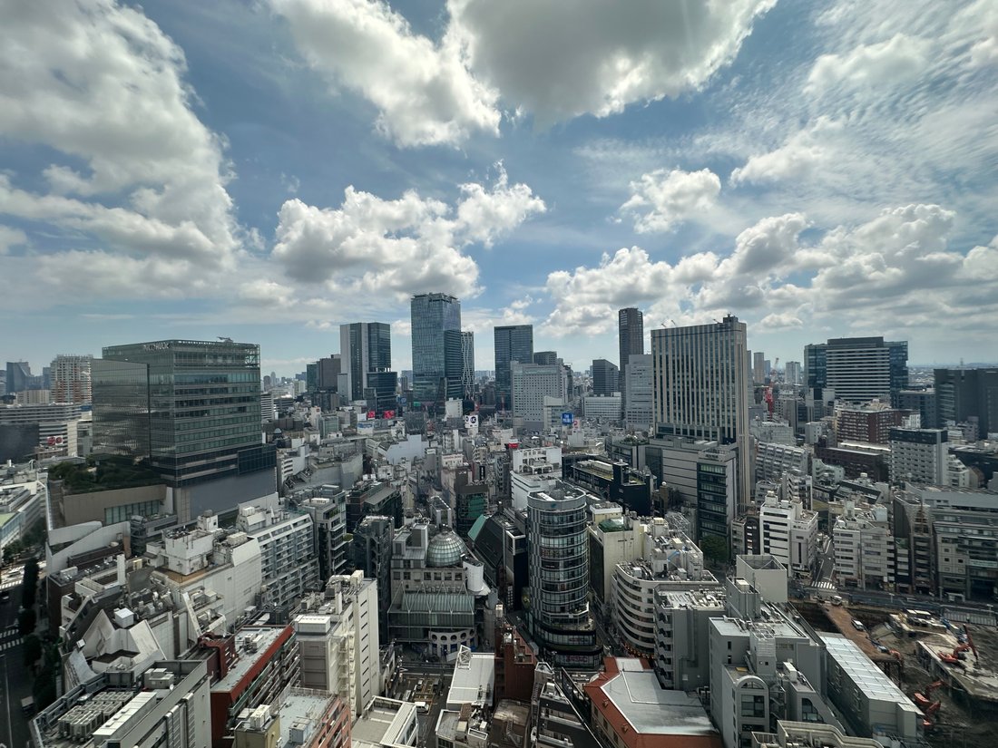 Eigentumswohnung in Shibuya, Präfektur Tokio, Japan 3 - 19056206