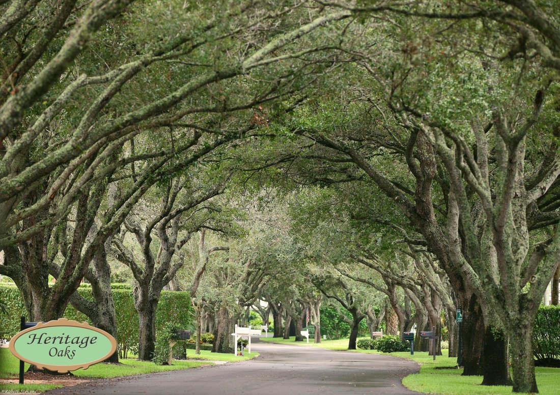 House in Tequesta, Florida, United States 4 - 19054452