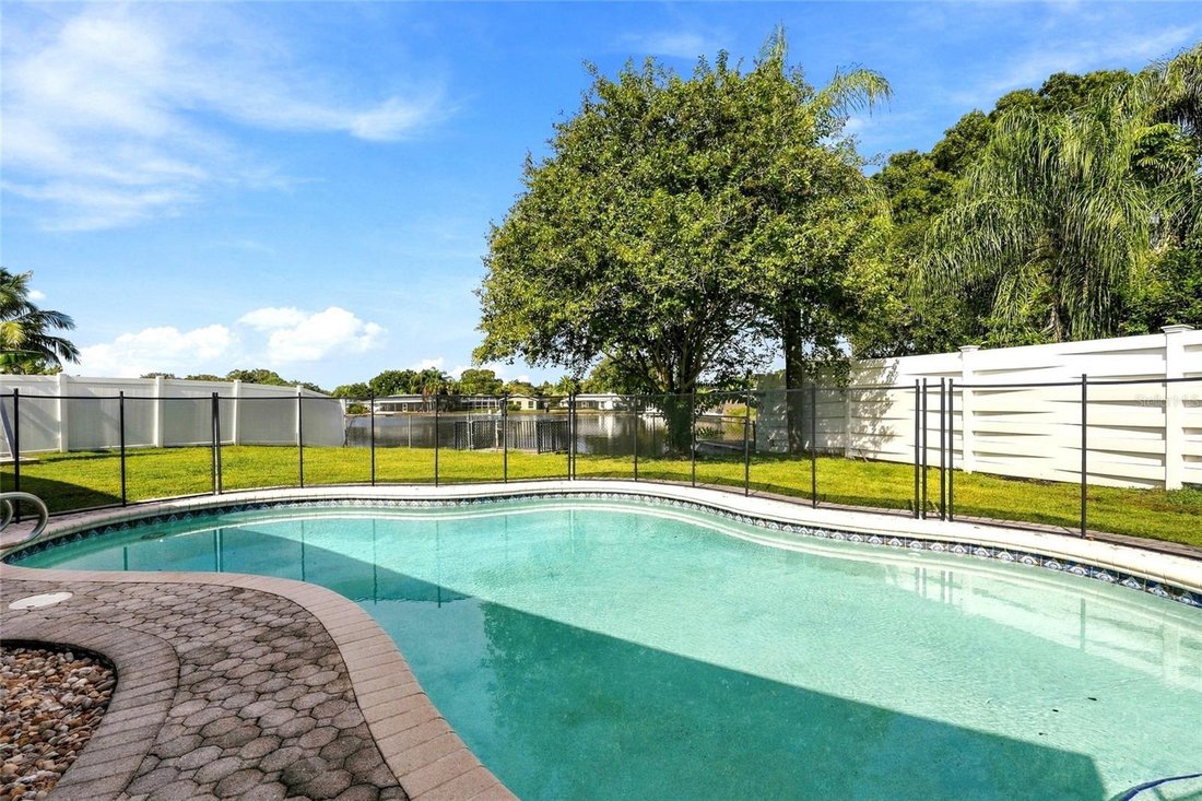 House in Safety Harbor, Florida, United States 5 - 19051251