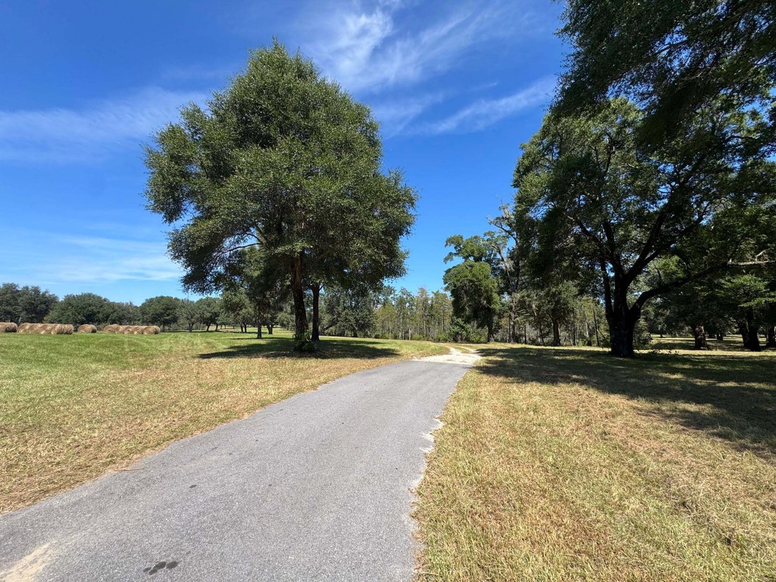 Land in Bruce, Florida, United States 3 - 19055383