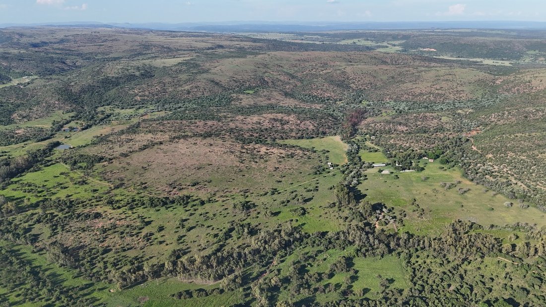 Farm Ranch in Bela-Bela, Limpopo, South Africa 5 - 19053452