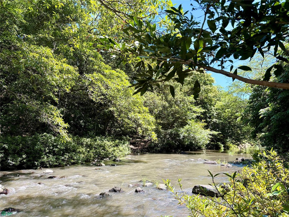 Terrain à Canas, Cañas, Costa Rica 1 - 19054409