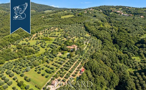 Villa à Capraia e Limite, Toscane, Italie 1