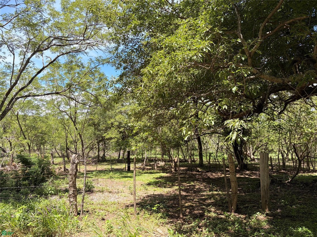 Terrain à Canas, Cañas, Costa Rica 5 - 19054409