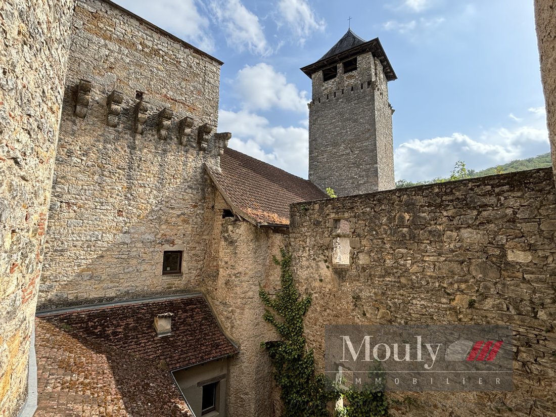 Château à Salvagnac-Cajarc, Occitanie, France 2 - 19052044