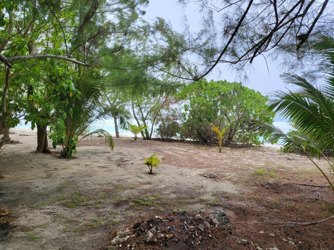Land in Huahine, Leeward Islands, Französisch-Polynesien 4 - 19056429