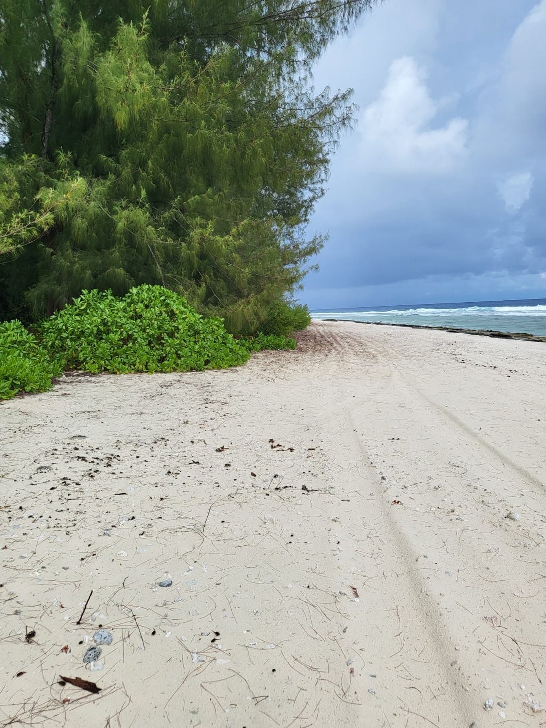 Land in Huahine, Leeward Islands, Französisch-Polynesien 1 - 19056429