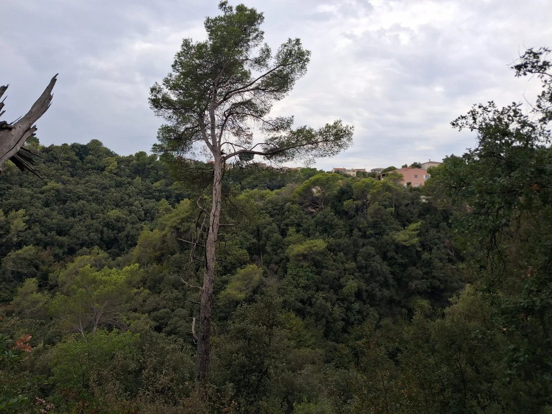 House in Val de Cagne-Colline Route de Vence, Cagnes-sur-Mer, France 4 - 19052076
