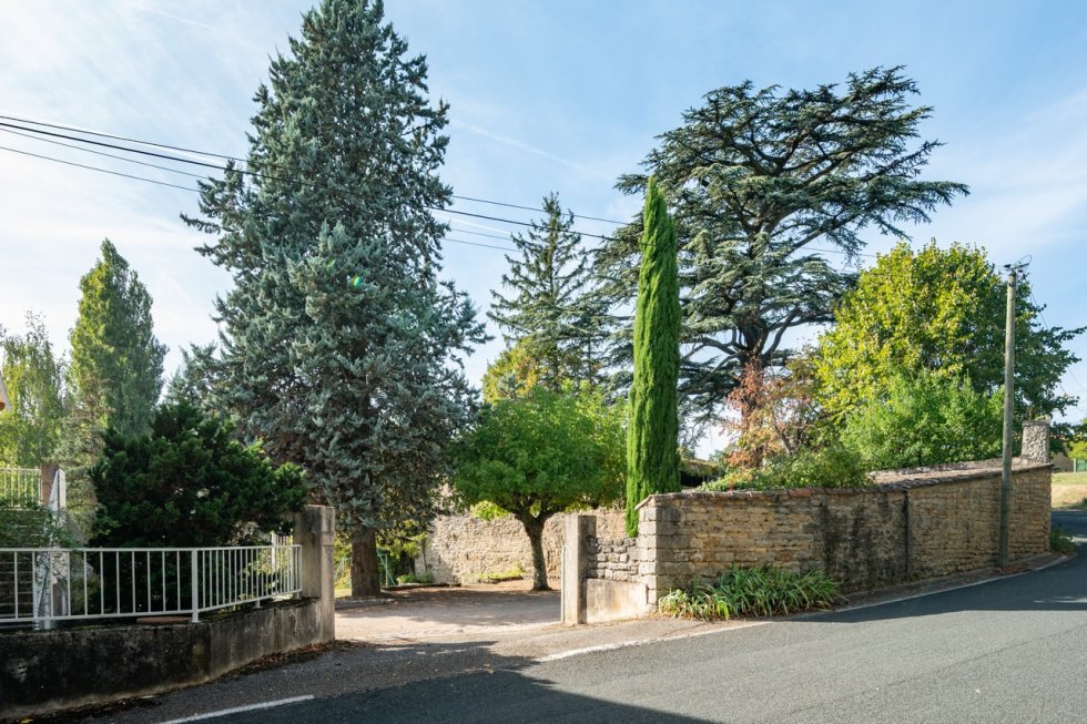 House in Limonest, Auvergne-Rhône-Alpes, France 1 - 19055227
