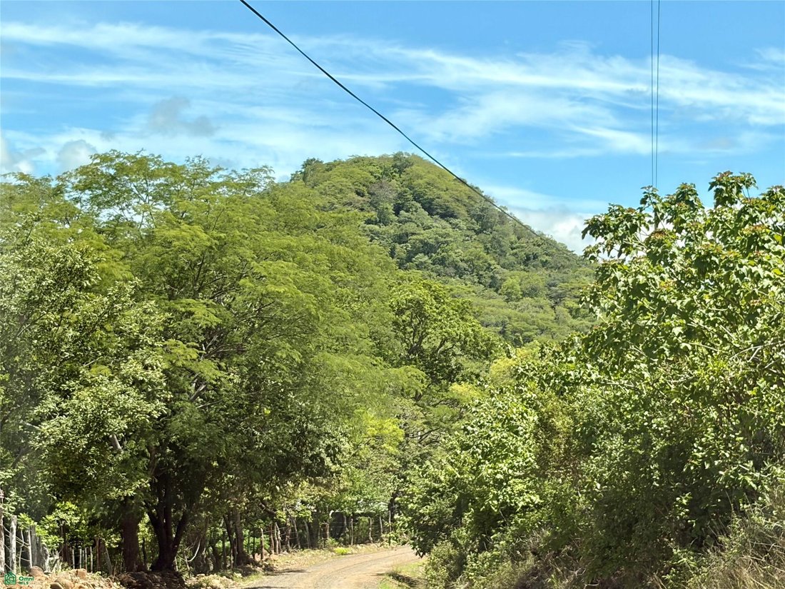 Terrain à Canas, Cañas, Costa Rica 3 - 19054409