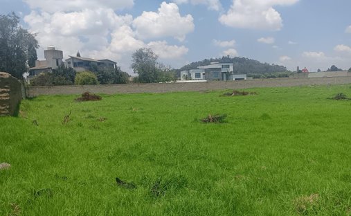 Terrain à Metepec, État de Mexico, Mexique 1