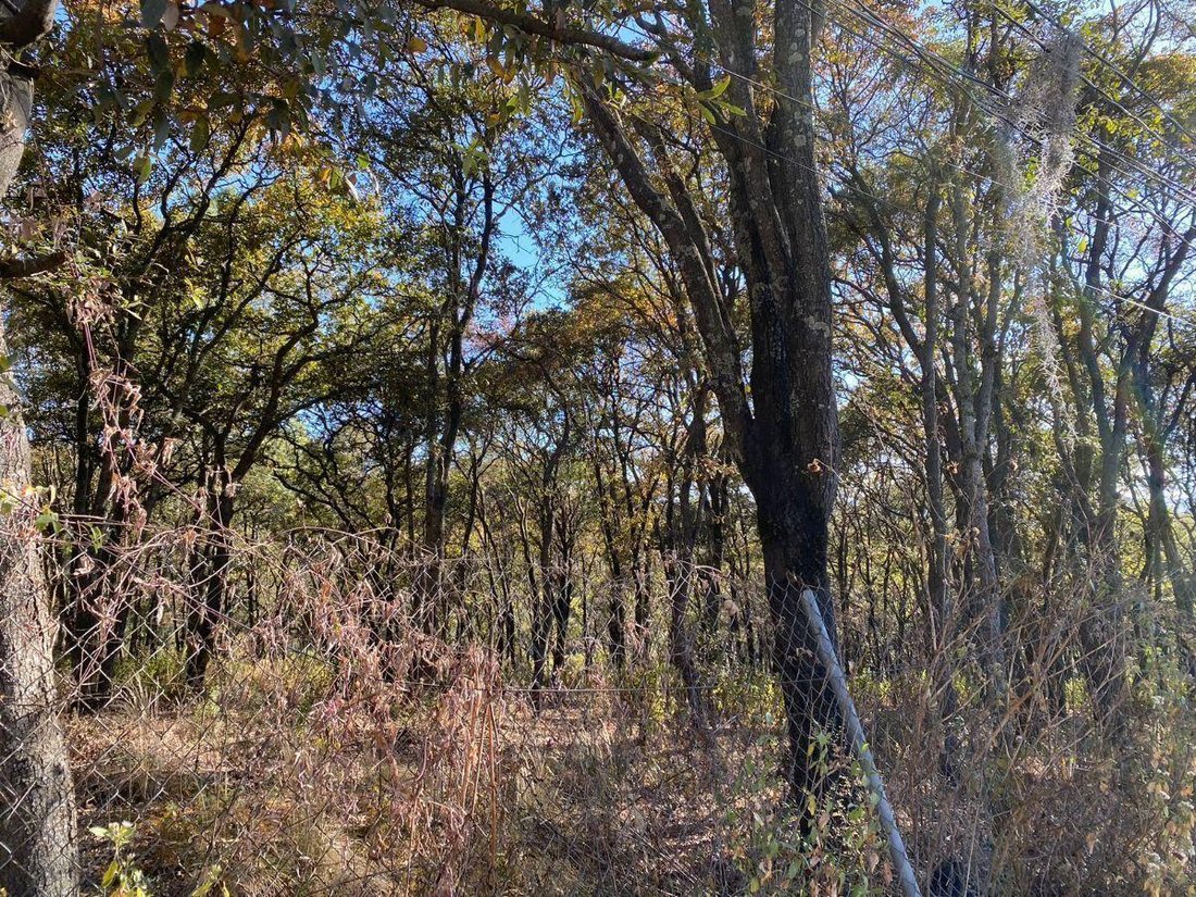Land in Espíritu Santo, State of Mexico, Mexico 4 - 19052712