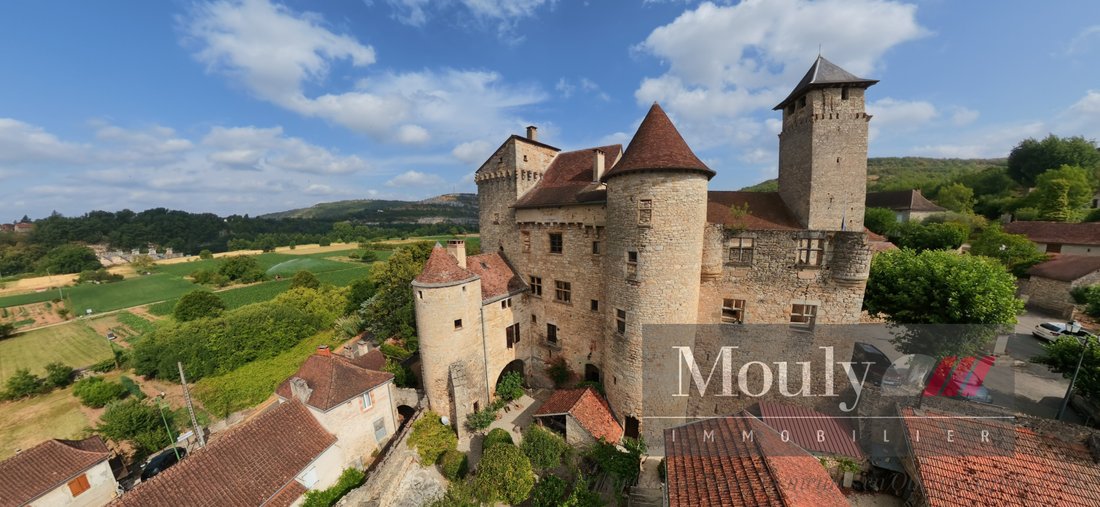 Château à Salvagnac-Cajarc, Occitanie, France 1 - 19052044