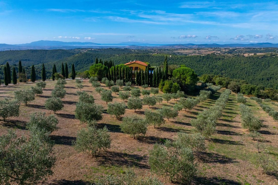 Tenuta a Magliano in Toscana, Toscana, Italia 5 - 19052227