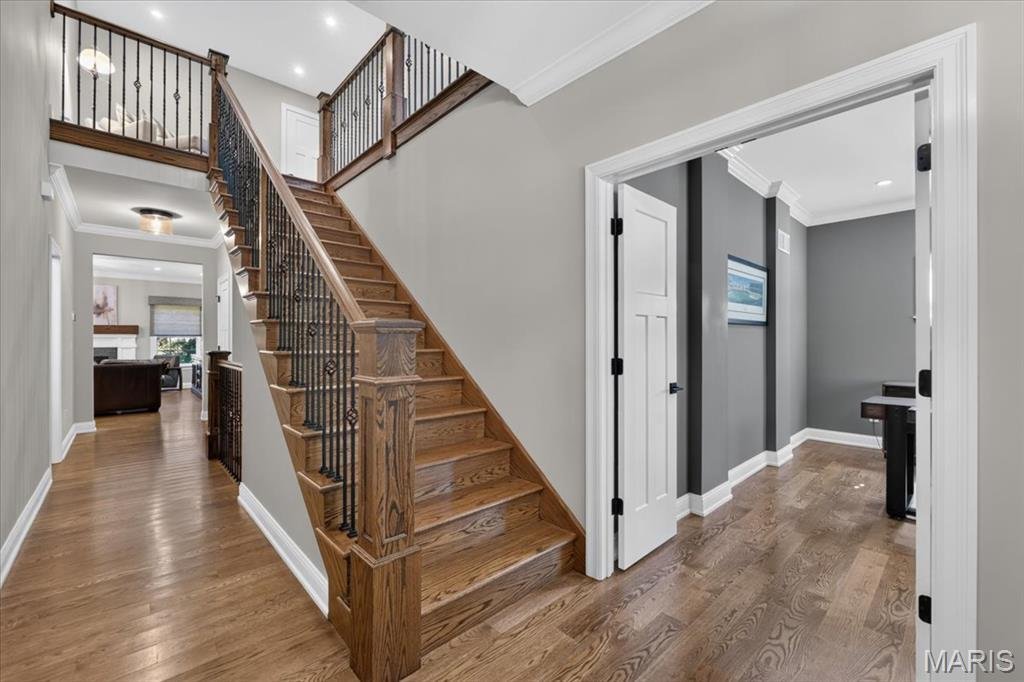 House in Kirkwood, Missouri, United States 3 - 19054231