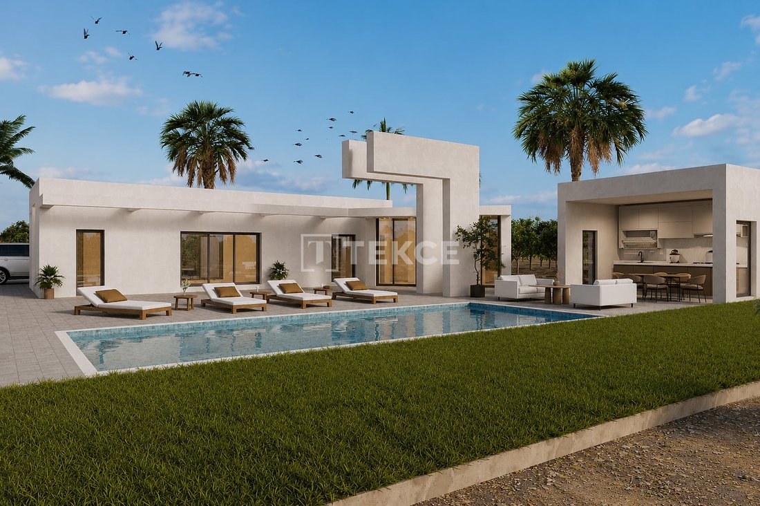 Villa in Benejuzar, Valencian Community, Spain 2 - 19053658