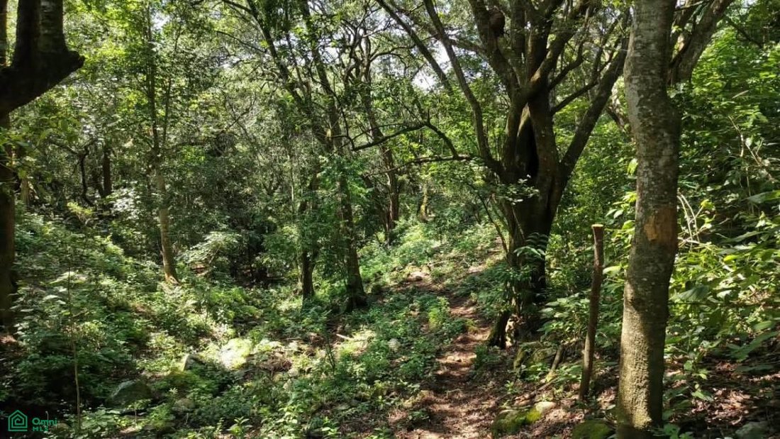 Terreno a Altozano, Colima, Messico 2 - 19054424