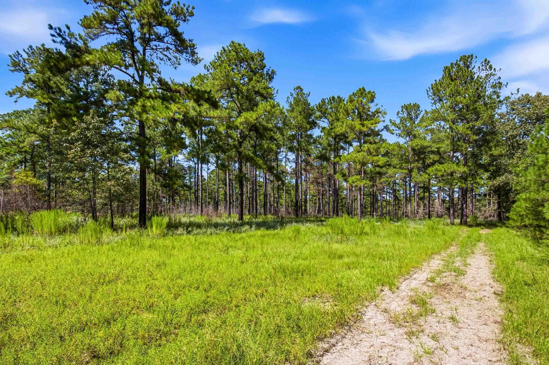 Land in Manning, South Carolina, United States 3 - 19053274