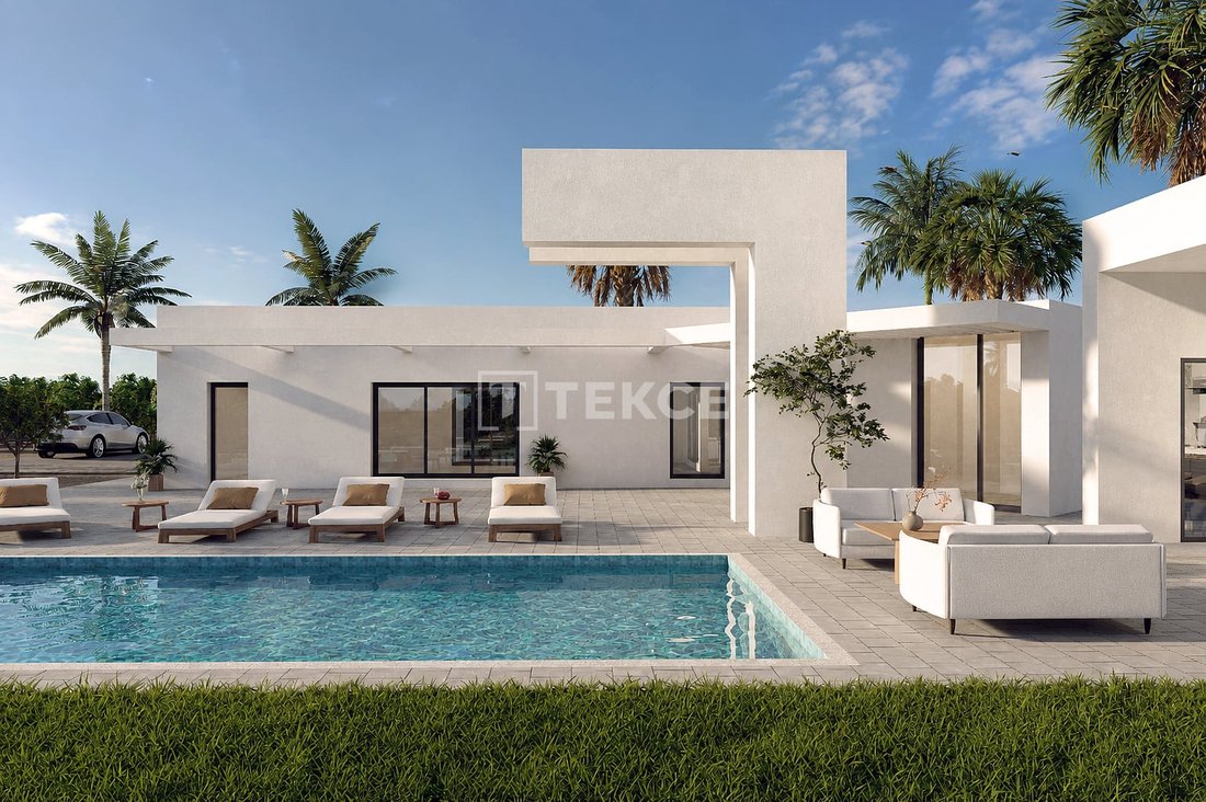 Villa in Benejuzar, Valencian Community, Spain 1 - 19053658