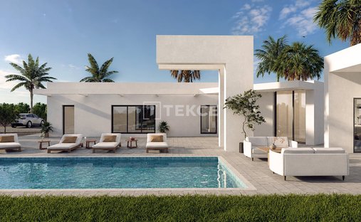 Villa in Benejuzar, Valencian Community, Spain 1