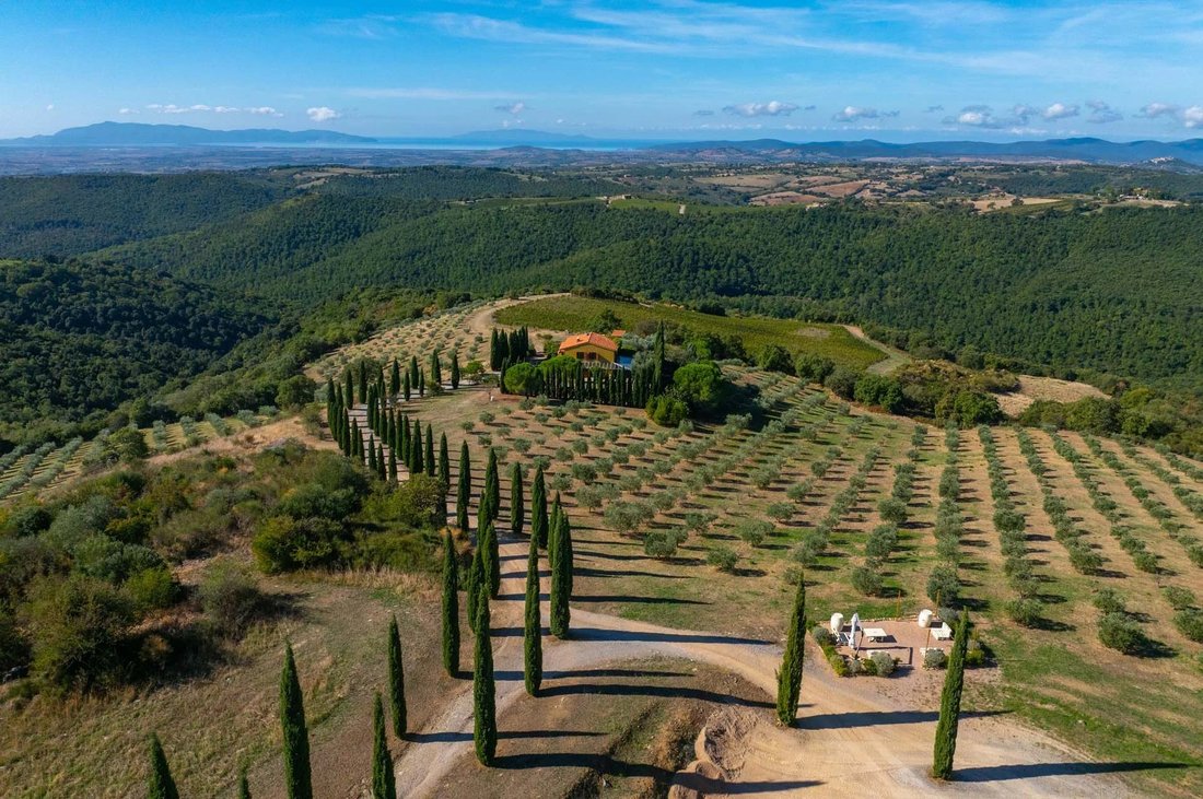 Tenuta a Magliano in Toscana, Toscana, Italia 3 - 19052227