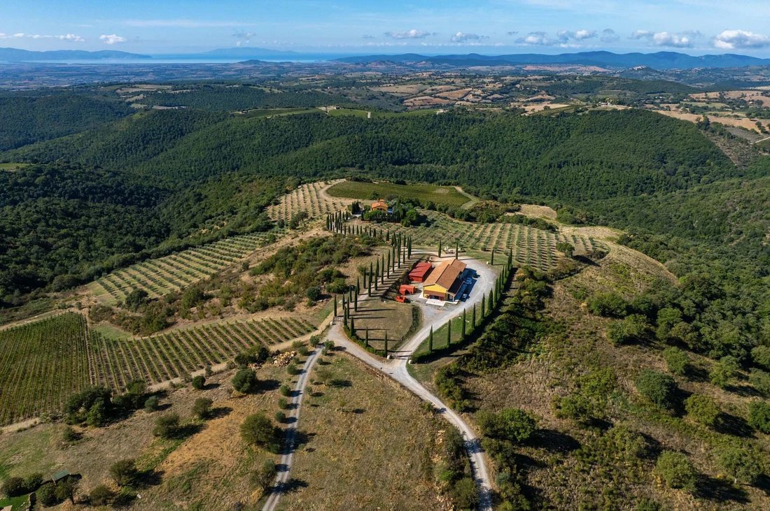 Tenuta a Magliano in Toscana, Toscana, Italia 1 - 19052227