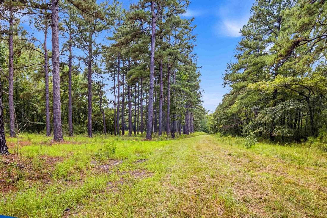 Land in Manning, South Carolina, United States 4 - 19053274