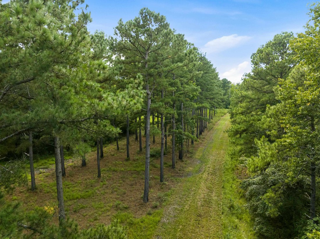Land in Manning, South Carolina, United States 2 - 19053274